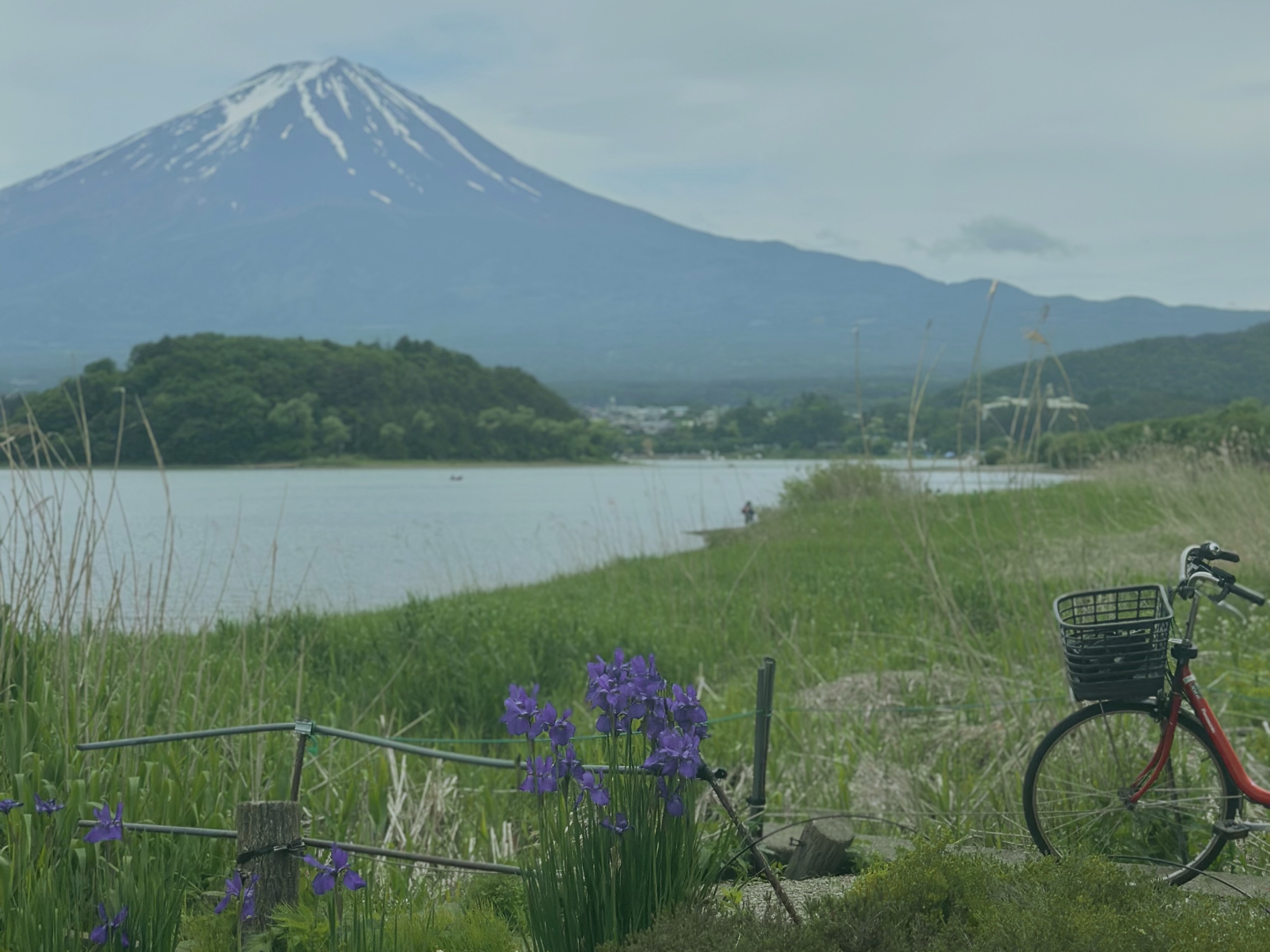Mount Fuji, 2025
